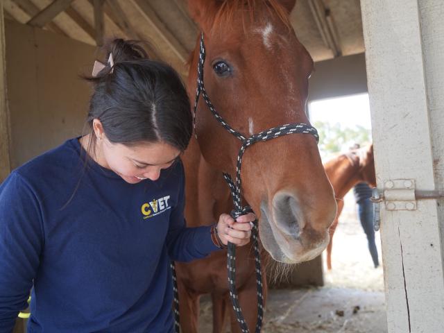 Dr. Briana Hamamoto walking with a horse